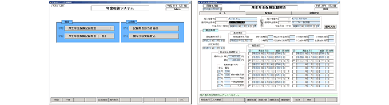 国の年金相談システム