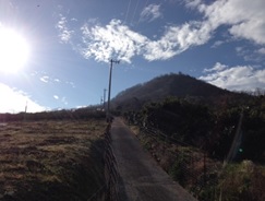 登山道1