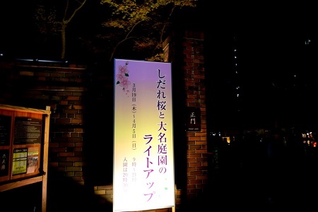 六義園ライトアップ